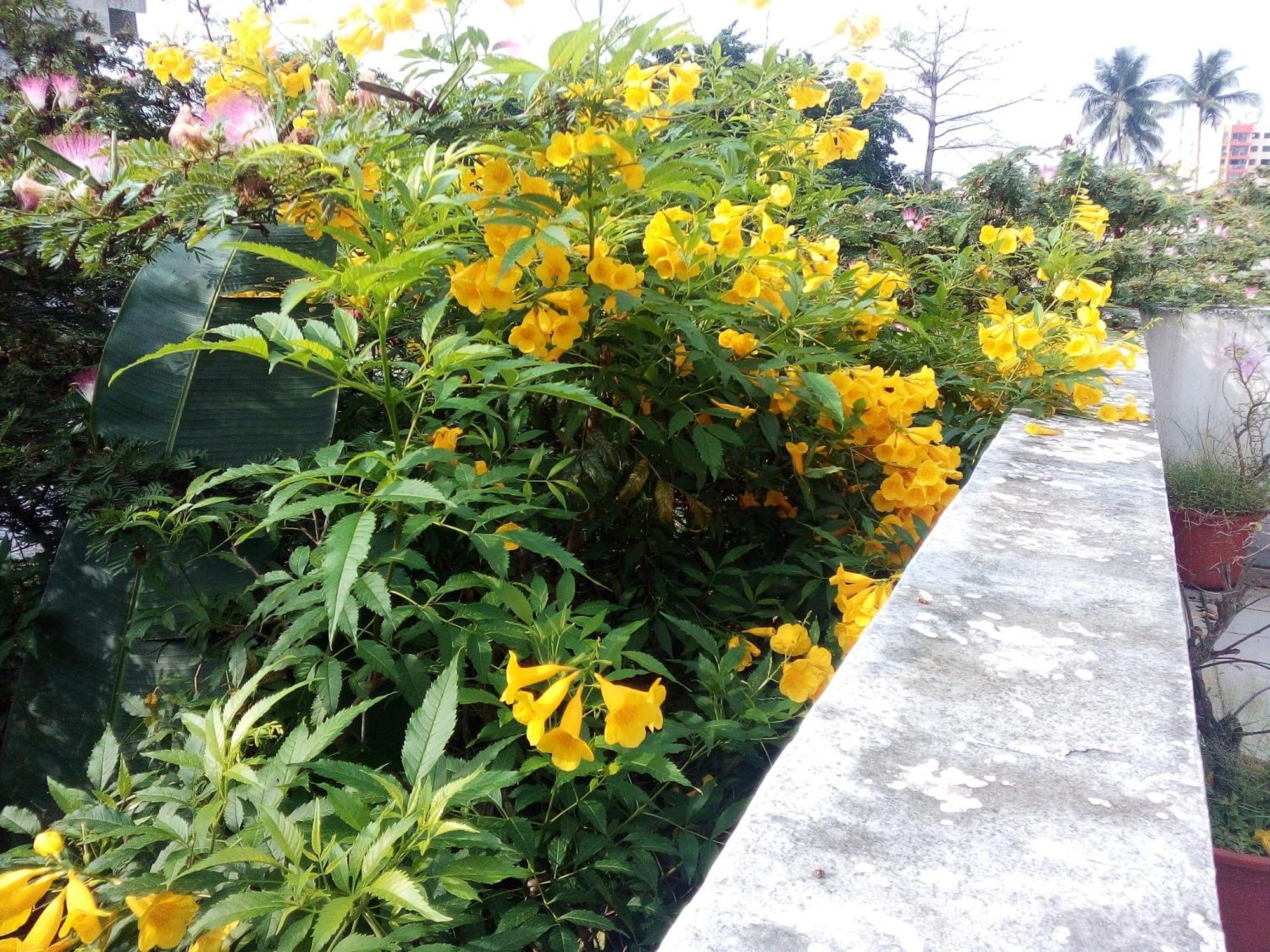 Villa Mango Abidjan Luaran gambar