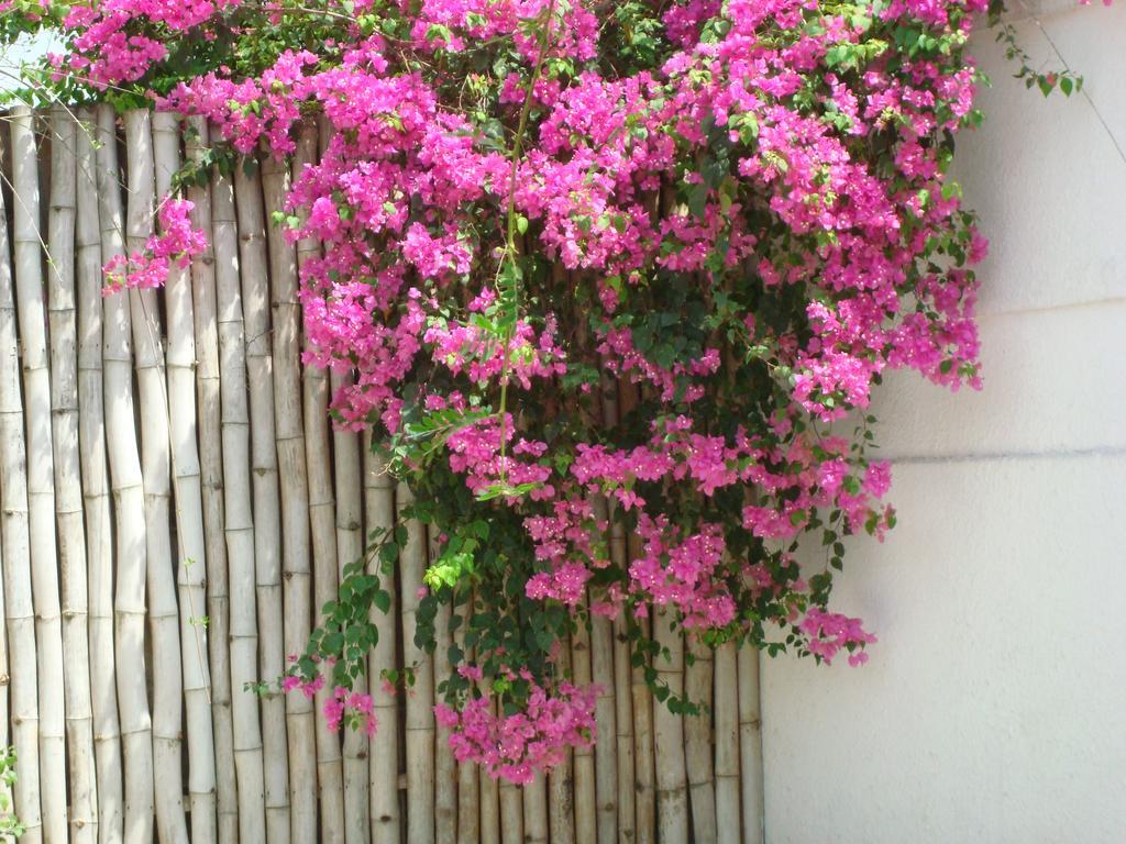 Villa Mango Abidjan Luaran gambar